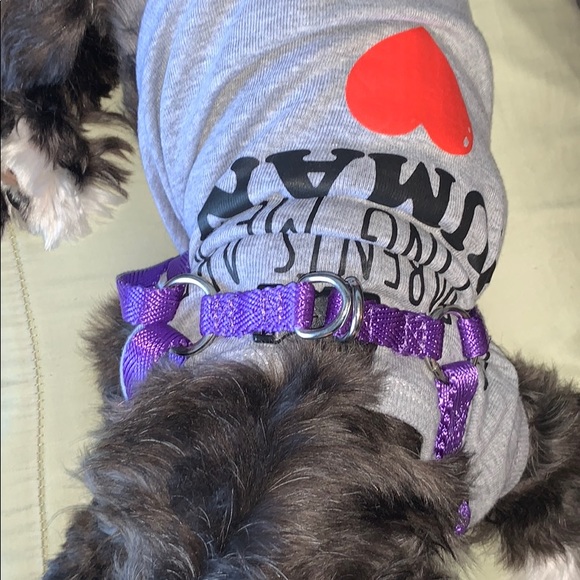 Dog Bundle 💜 - Picture 5 of 8